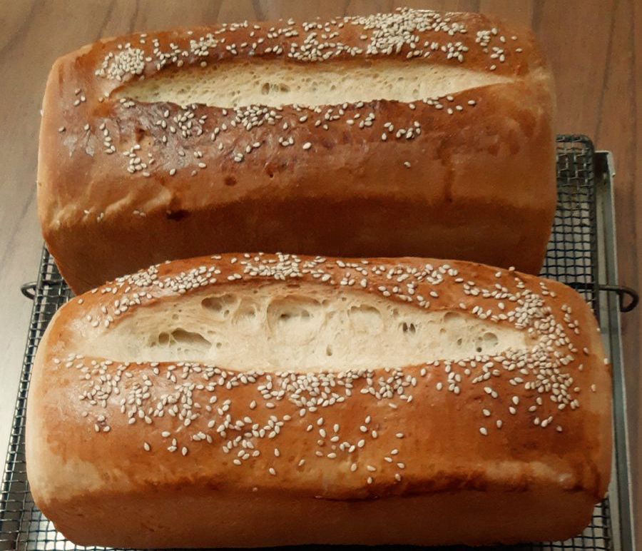 Pan lactal